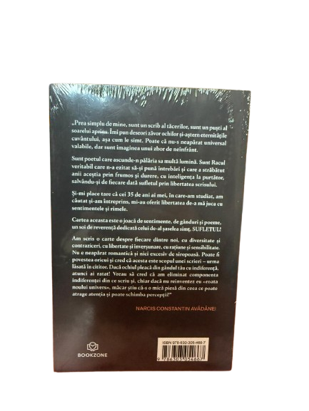 Al saselea simt, Sufletul [2]