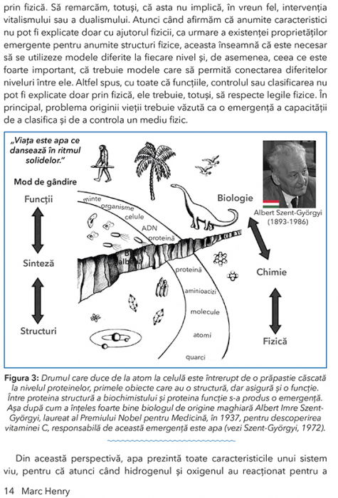 Apa si Fizica Cuantica. Catre o revolutie in medicina de Marc Henry [8]