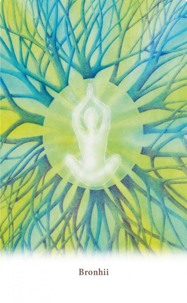 Carduri pentru vindecarea corpului de Ewald Kliegel, Anne Heng [7]