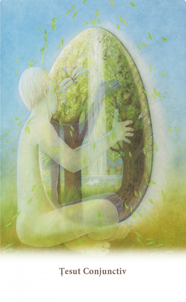 Carduri pentru vindecarea corpului de Ewald Kliegel, Anne Heng [8]