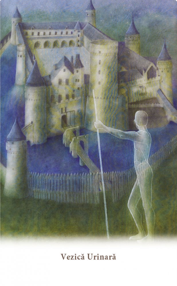 Carduri pentru vindecarea corpului de Ewald Kliegel, Anne Heng [3]