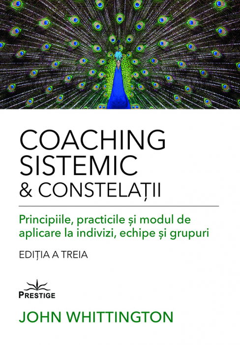 Coaching Sistemic & Constelatii de John Whittington [1]
