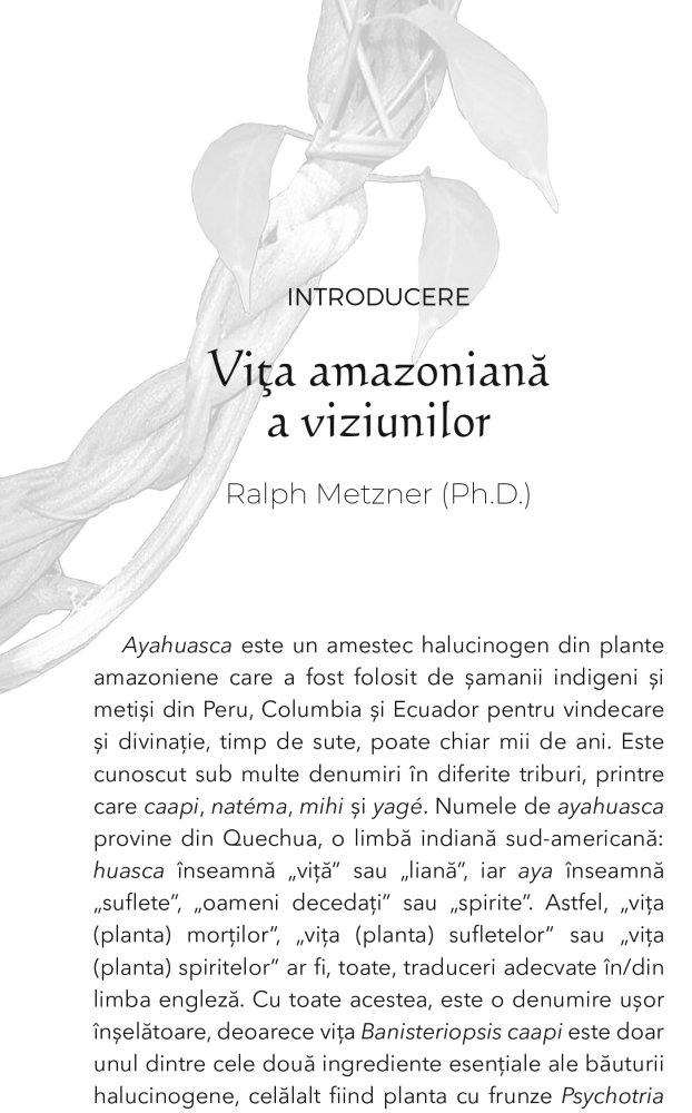 Experienta Ayahuasca de Ralph Metzner (Ph.D.) [5]