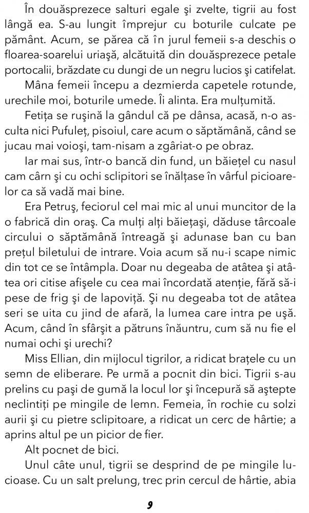 Fram, Ursul polar de Cezar Petrescu [6]