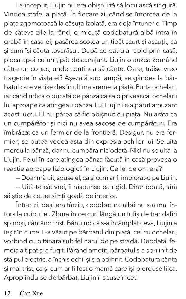 Frontiera de Can Xue [6]