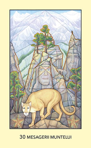 Geometria Sacra. Pachetul de carti Oracol de Francene Hart [5]