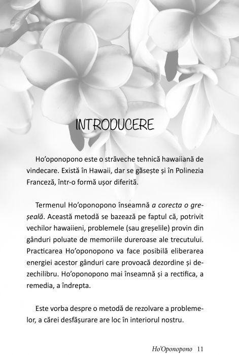 Ho'Oponopono de Laurence Luye-Tanet [5]