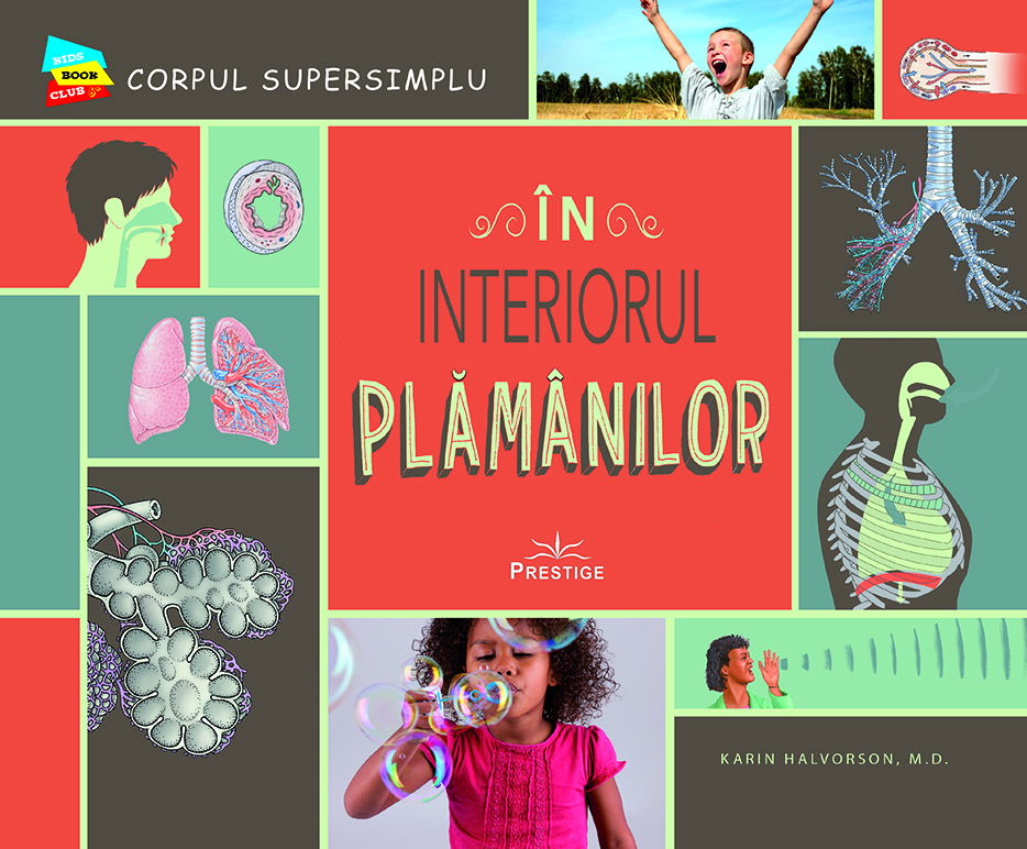 In interiorul Plamanilor de Karin Halvorson, M.D. [1]