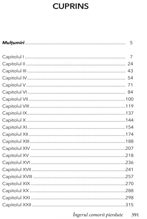 Ingerul comorii pierdute de Marie Laval [8]