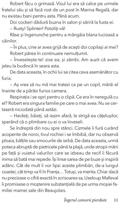 Ingerul comorii pierdute de Marie Laval [6]