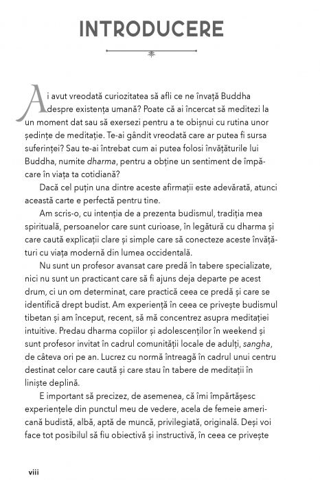 Invataturile lui Buddha pentru Incepatori de Emily Griffith Burke [4]