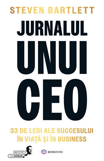 Jurnalul unui CEO [1]