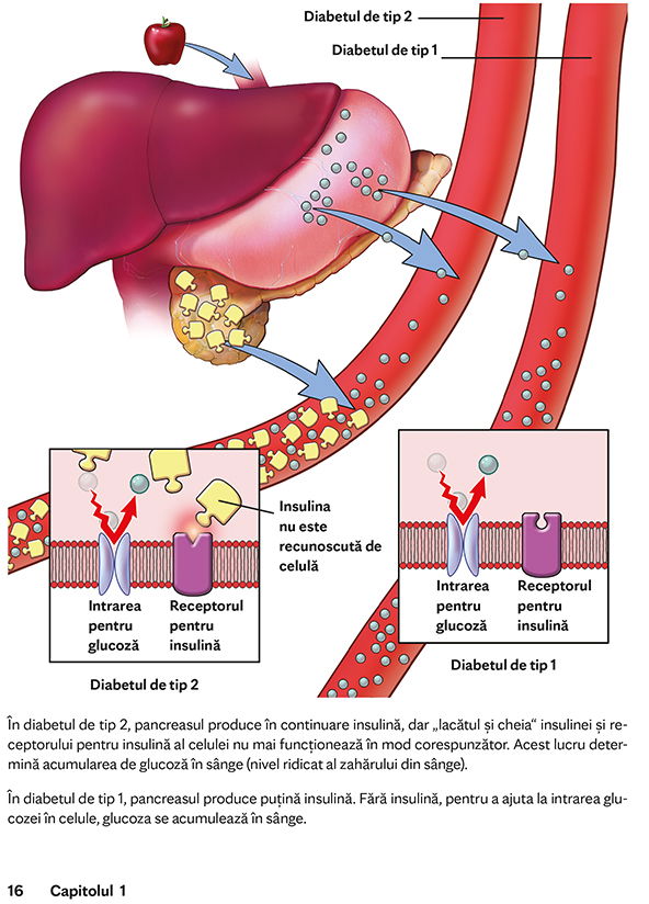 Mayo Clinic. Cartea esentiala despre diabetul zaharat de M. Regina Castro, M.D [11]