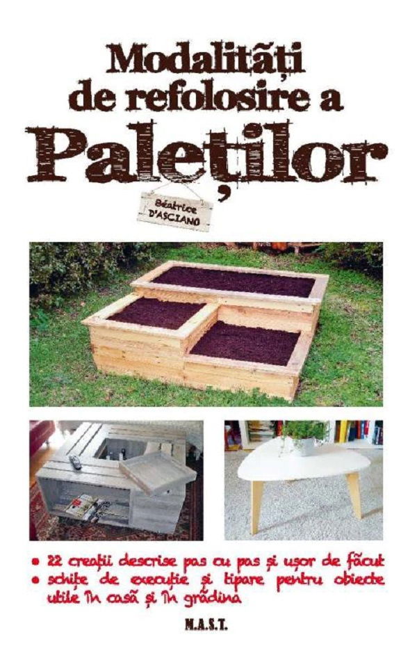 Modalitati de refolosire a paletilor de Beatrice D'Asciano [1]