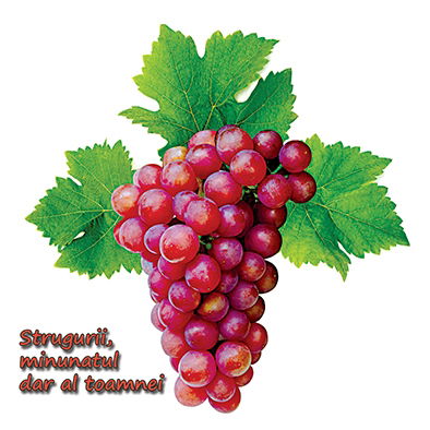 Paradisul fructelor [2]