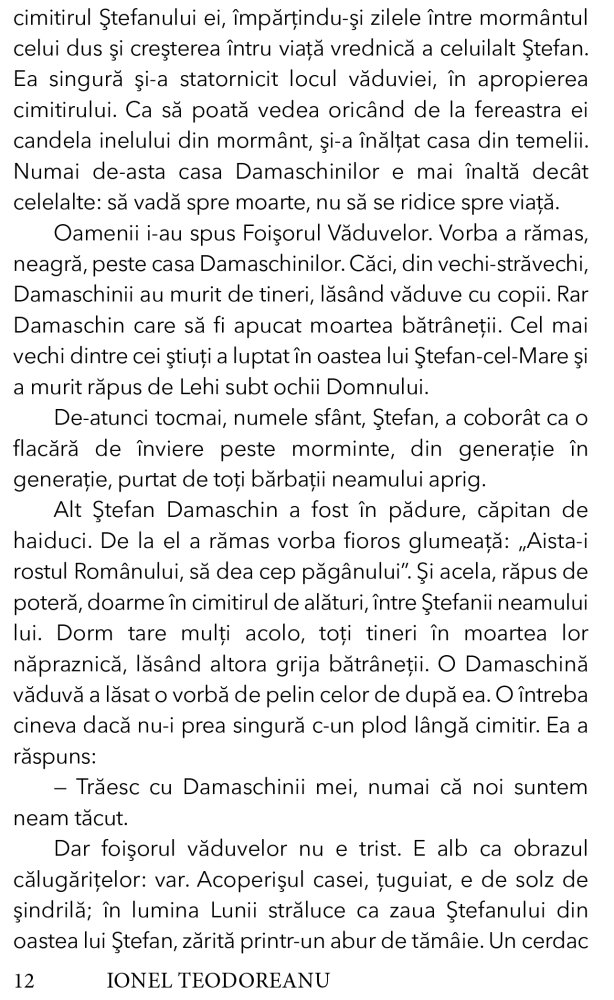 Prăvale-Baba – Ionel Teodoreanu – Editura Prestige [7]
