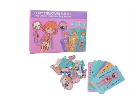 Puzzle din lemn, Anatomia Corpul uman fete [1]