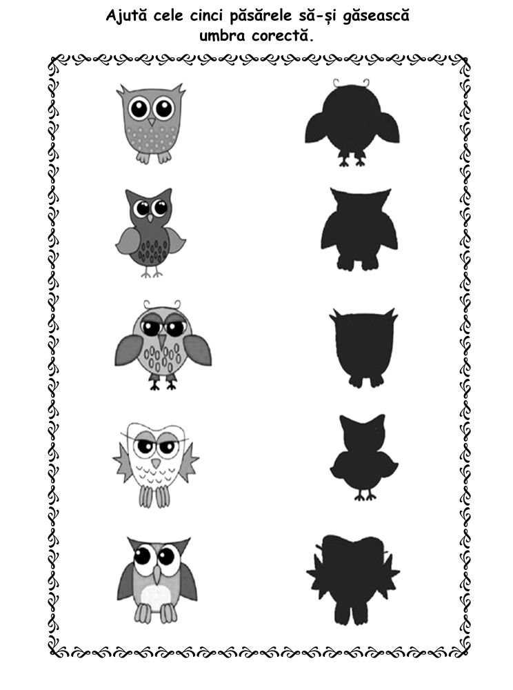 Rezolvam si coloram 3 ani+ [5]