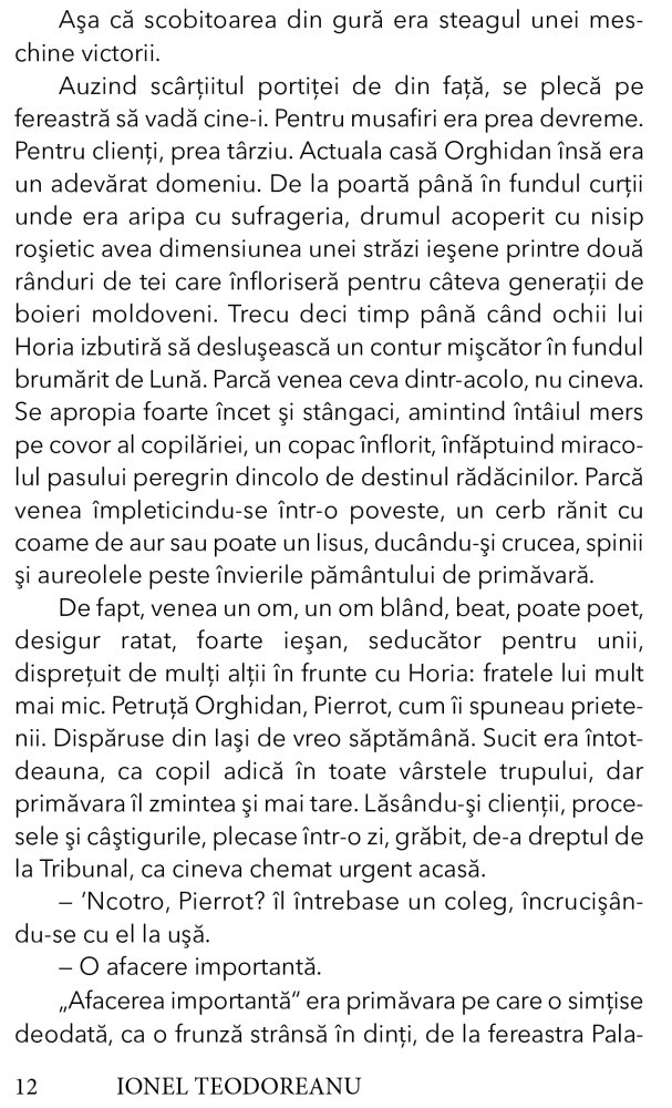 Secretul Anei Florentin - Ionel Teodoreanu [9]