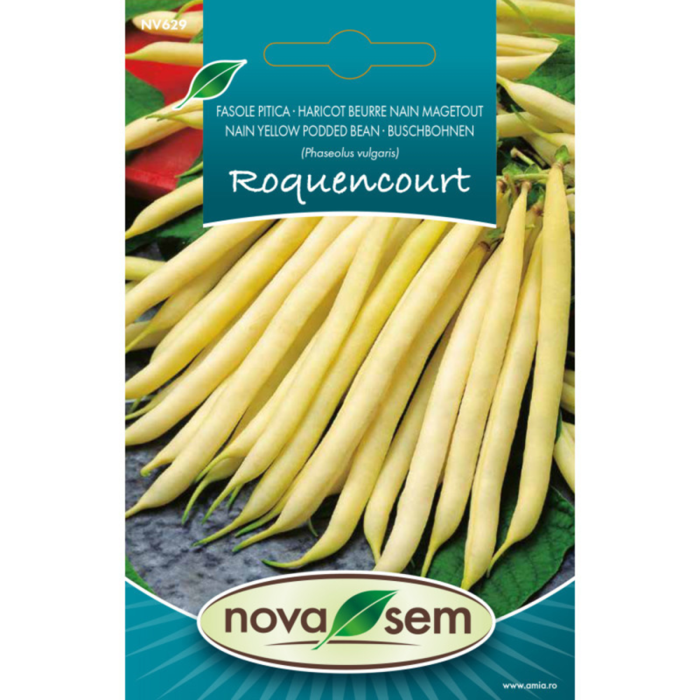 Seminte de fasole fideluta galbena pitica Rocquencourt Novasem, 7 g [1]