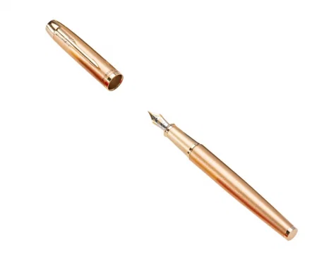 Set stilou si calimara - Auriu - PICASSO [3]