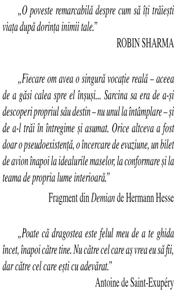 Sfantul, surferul si CEO-ul  de Robin Sharma [3]