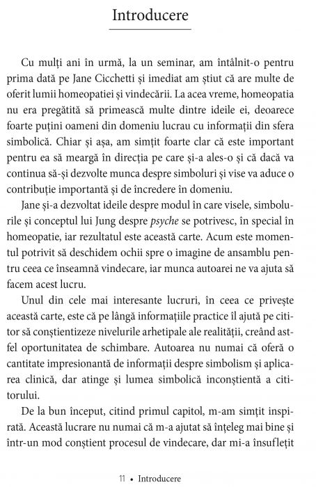 Simboluri si vise in homeopatie. Dimensiunile arhetipale ale vindecarii de Jane Cicchetti [6]