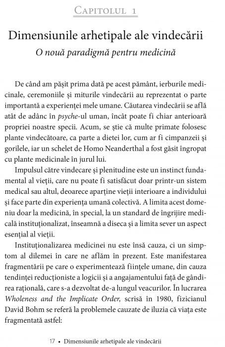 Simboluri si vise in homeopatie. Dimensiunile arhetipale ale vindecarii de Jane Cicchetti [10]