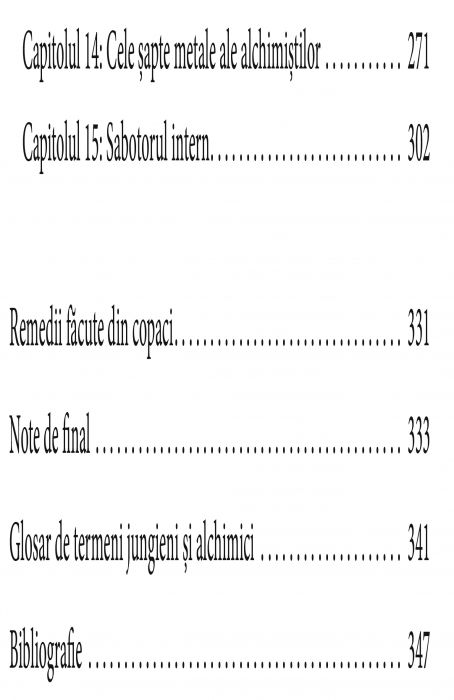 Simboluri si vise in homeopatie. Dimensiunile arhetipale ale vindecarii de Jane Cicchetti [3]
