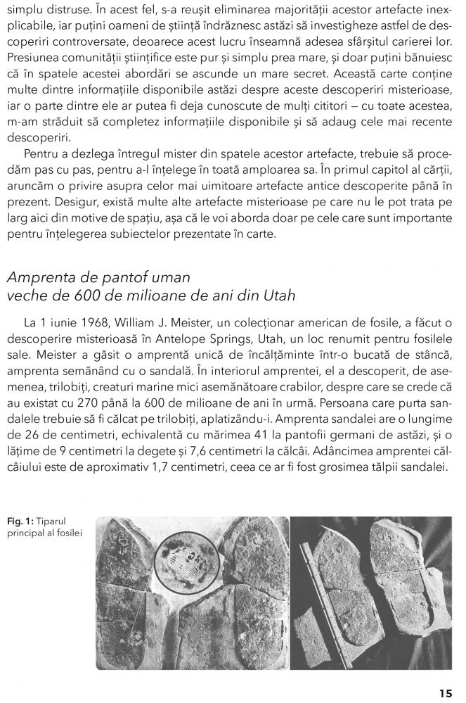 Tatal meu a fost un MIB. Volumul 2 de Jason Mason, Jan van Helsing [12]