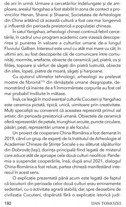 Un prieten adevarat, China de Dan Tomozei [8]