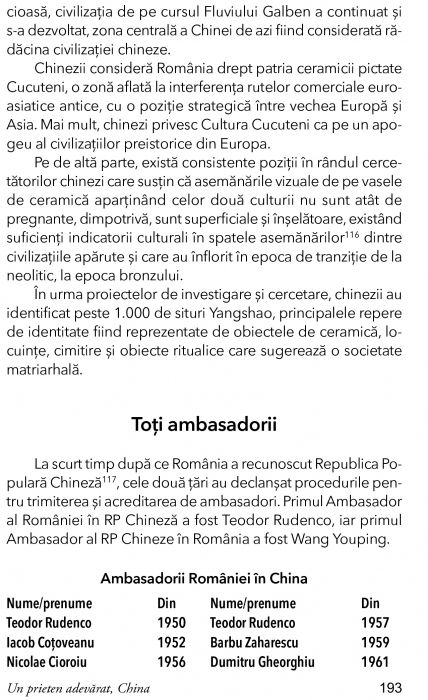 Un prieten adevarat, China de Dan Tomozei [9]