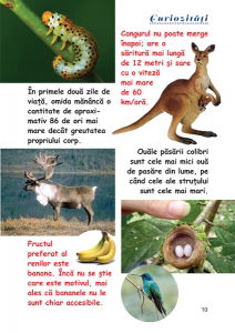 Curiozitati din lumea animalelor [1]