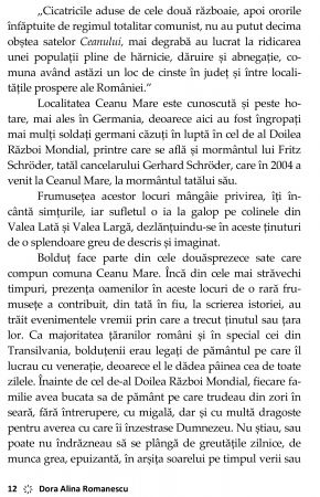 Anabella. Vol. 1 de Dora Alina Romanescu [7]