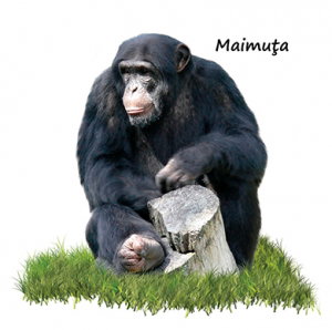 Animale salbatice [1]