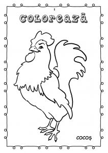 Animale si pasari din ograda - carte de colorat [1]