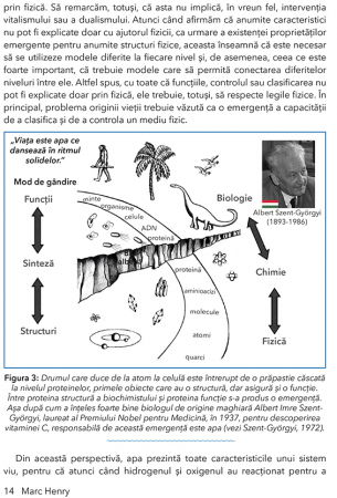 Apa si Fizica Cuantica. Catre o revolutie in medicina de Marc Henry [7]