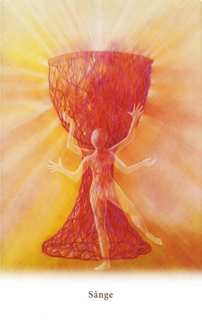 Carduri pentru vindecarea corpului de Ewald Kliegel, Anne Heng [3]