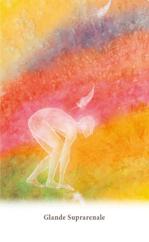 Carduri pentru vindecarea corpului de Ewald Kliegel, Anne Heng [1]