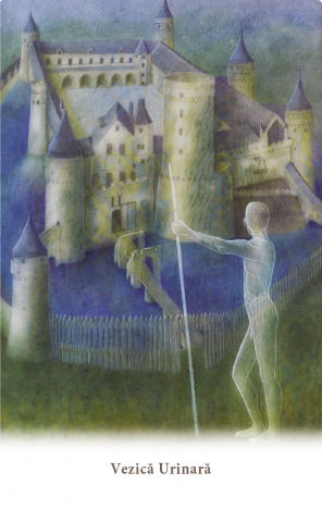 Carduri pentru vindecarea corpului de Ewald Kliegel, Anne Heng [2]