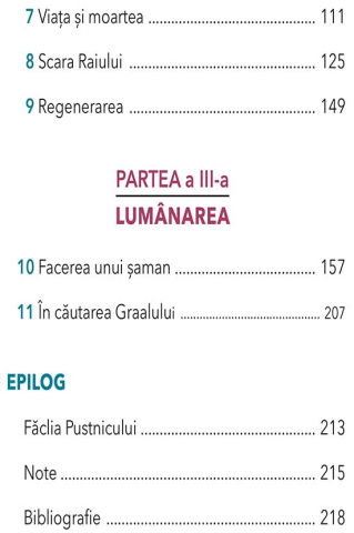 Cautarea Alchimica a campului unificat de R. E. Kretz [2]