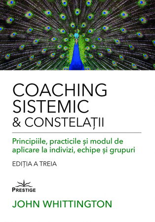 PSYCONNECT - Coaching Sistemic & Constelatii de John Whittington