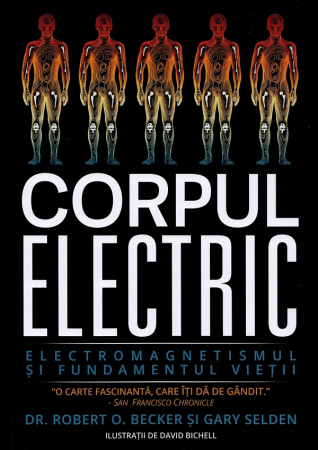Terapii Alternative - Corpul electric. Electromagnetismul si fundamentul vietii - Robert O. Becker