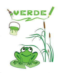 Culorile - cartonat [1]