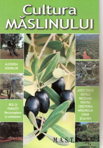 Hobby Practic - Cultura maslinului