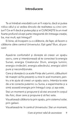 Cum sa prinzi Valul de Ascensiune de Bob Frissell [3]