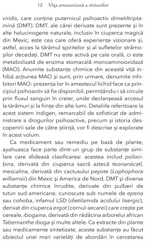 Experienta Ayahuasca de Ralph Metzner (Ph.D.) [5]