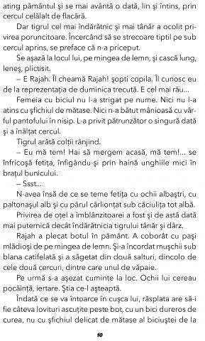 Fram, Ursul polar de Cezar Petrescu [6]