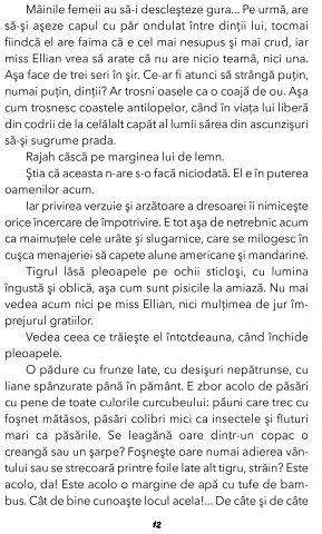 Fram, Ursul polar de Cezar Petrescu [8]