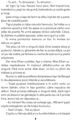 Fram, Ursul polar de Cezar Petrescu [2]